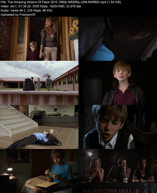 The-Amazing-Wizard-Of-Paws-2015-1080p-WE