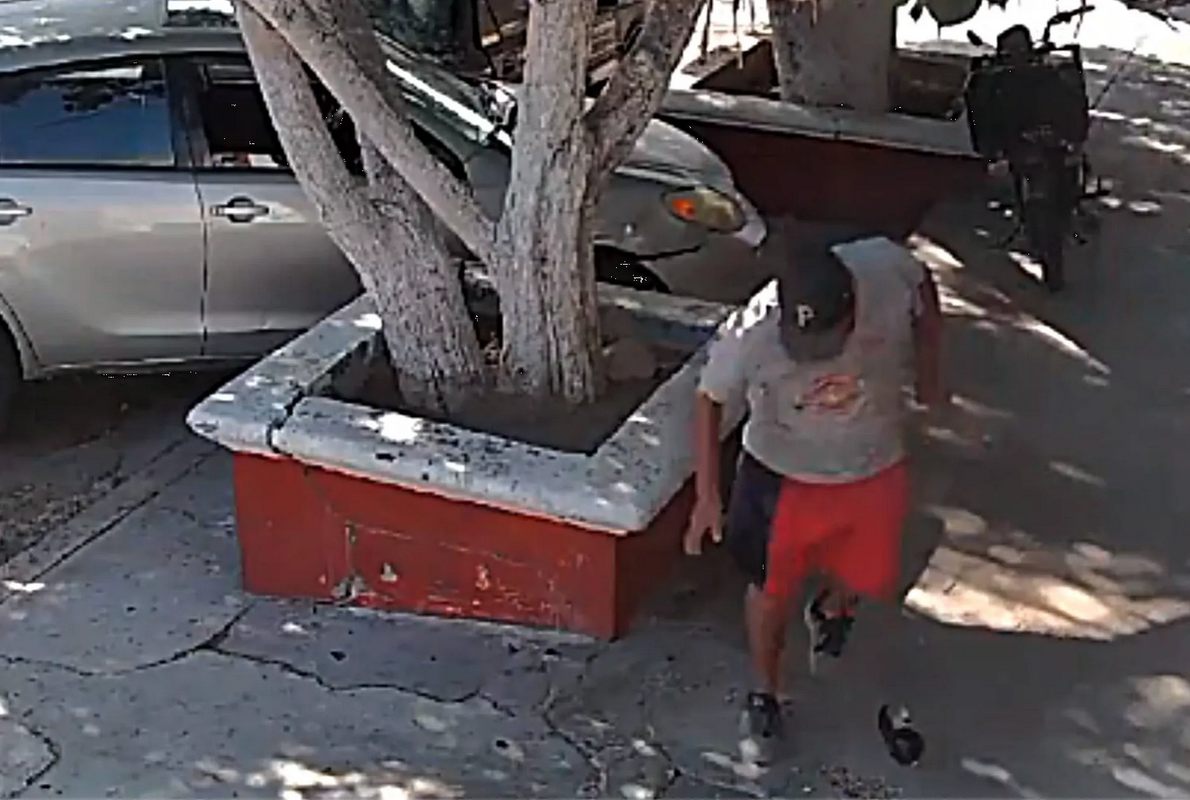 Karma instantáneo: se le cae su “caguama” mientras apedreaba a los perros