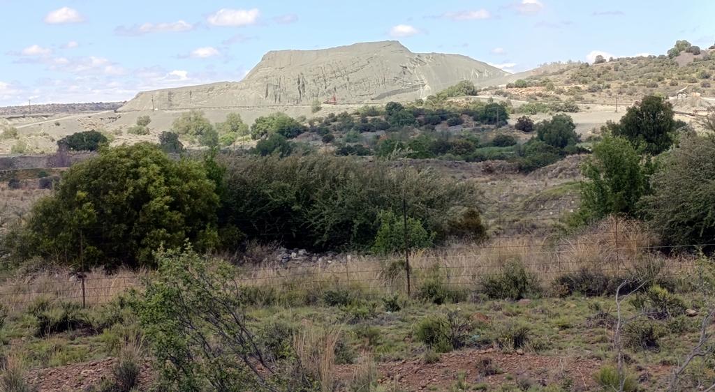 Такая близкая Африка. (ЮАР. 22 дня и 4200 км. Ноябрь-Декабрь)