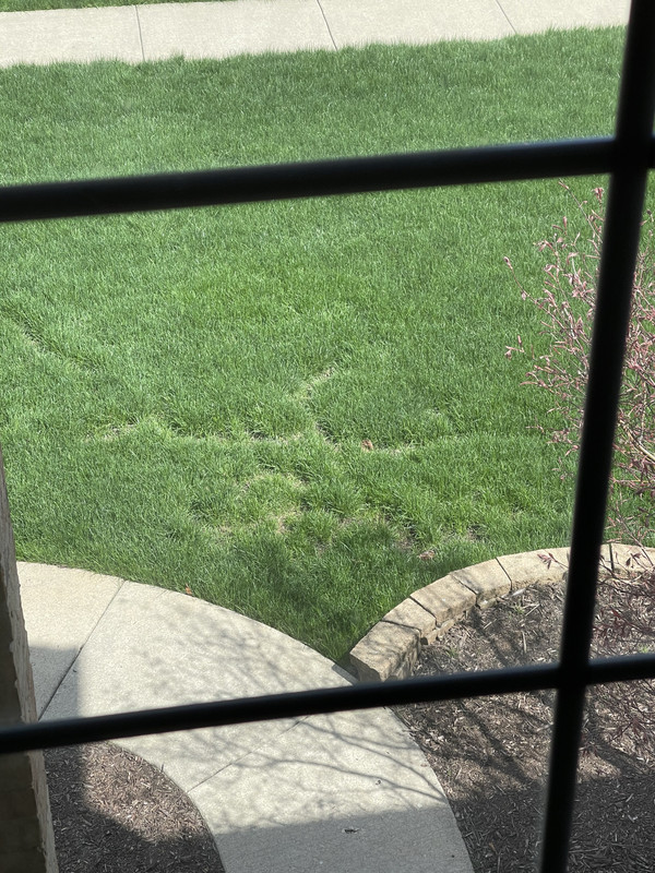 7499E2E1-E129-475D-A8C4-1E83A2741EB1