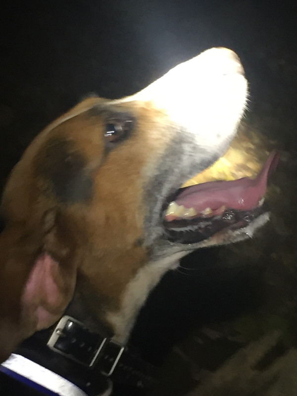 058476B5-15D3-4B6E-B566-C5CAC65C827E