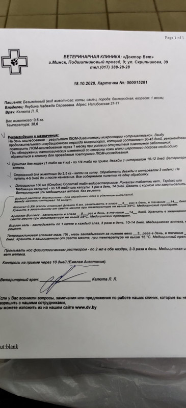 изображение_viber_2020-10-18_16-14-06