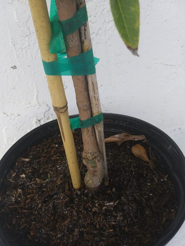 20190907_105010_Burst03