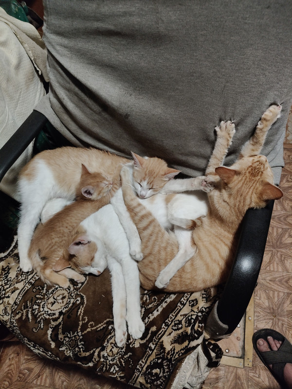 IMG20260511020646.jpg