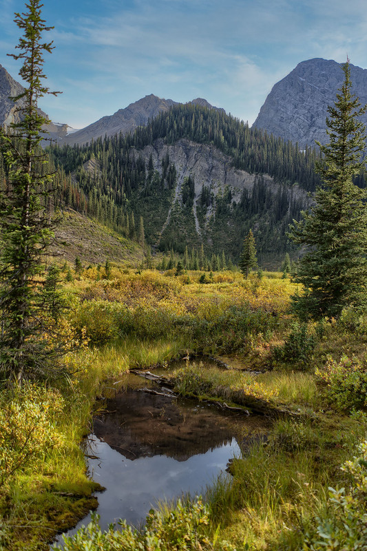 IMAGE: https://i.postimg.cc/qMTxFbqh/Dx-O-HDR-copy.jpg