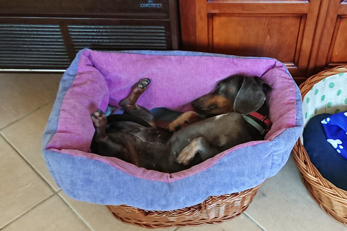 [Image: DSC-3817.jpg]