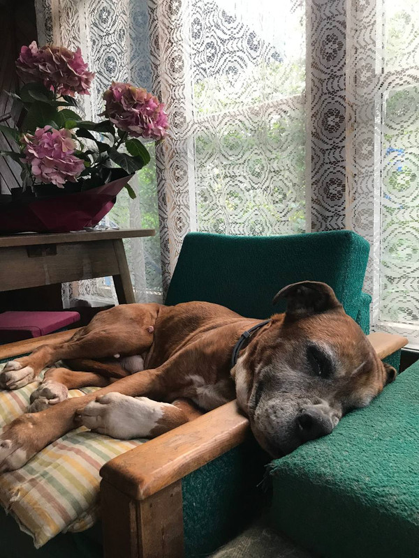 048C4865-D53E-4D5A-9F6A-9D77C3CCAF8D