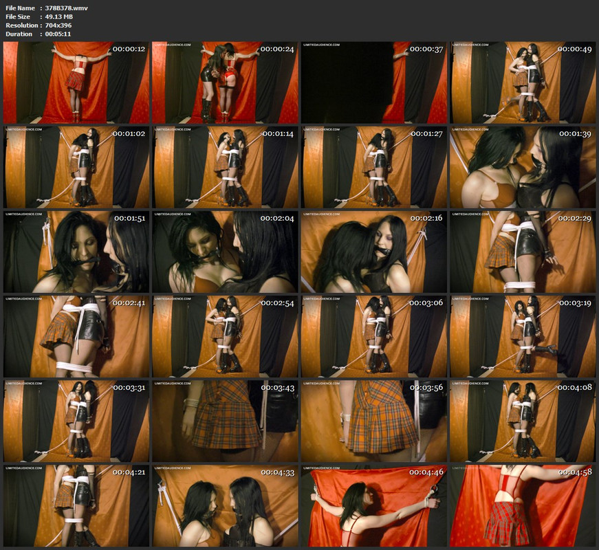 378B378.wmv