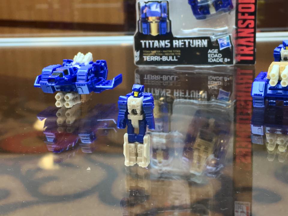 12938299_1030642870316749_663941627701901984_n