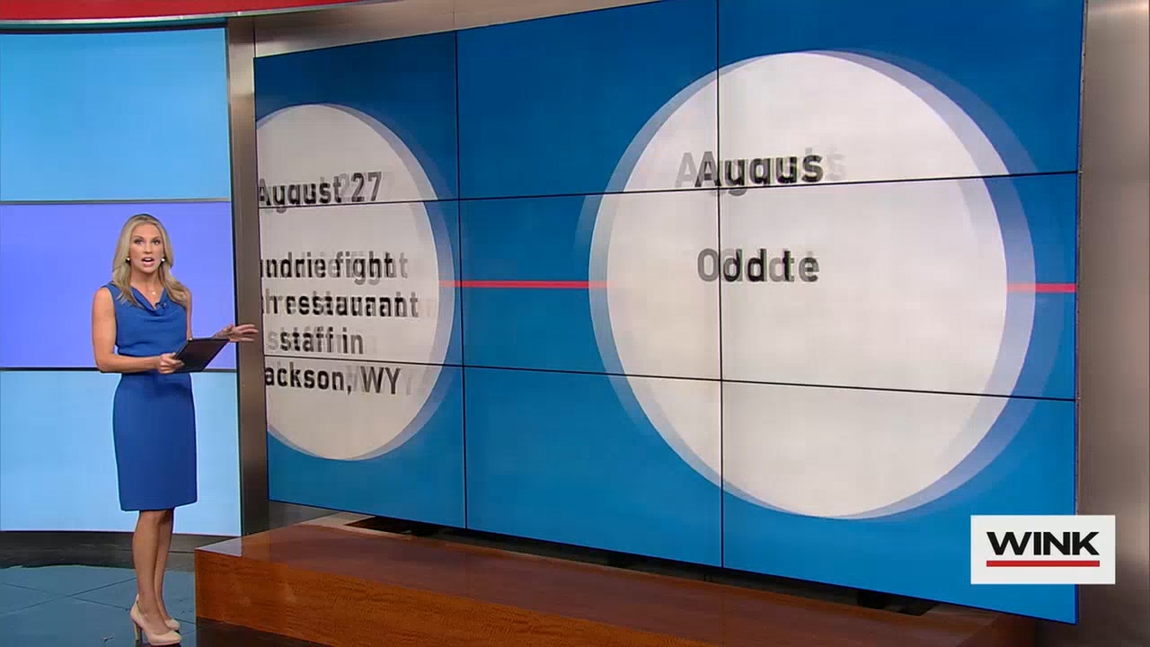 10.13 - 03.00.00 - WINK News at 10 00 p.m..ts_snapshot_00.06.38.407