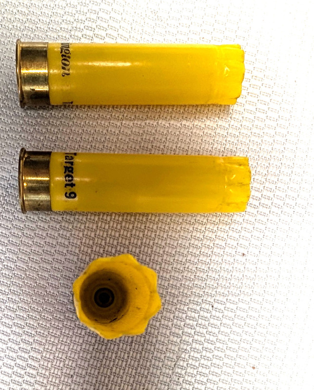 20ga hulls