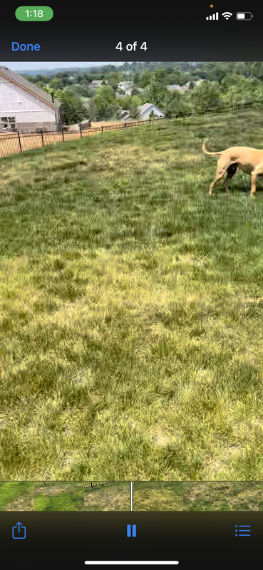 0343F7E6-9FA7-491B-99F4-78BE968B57BE