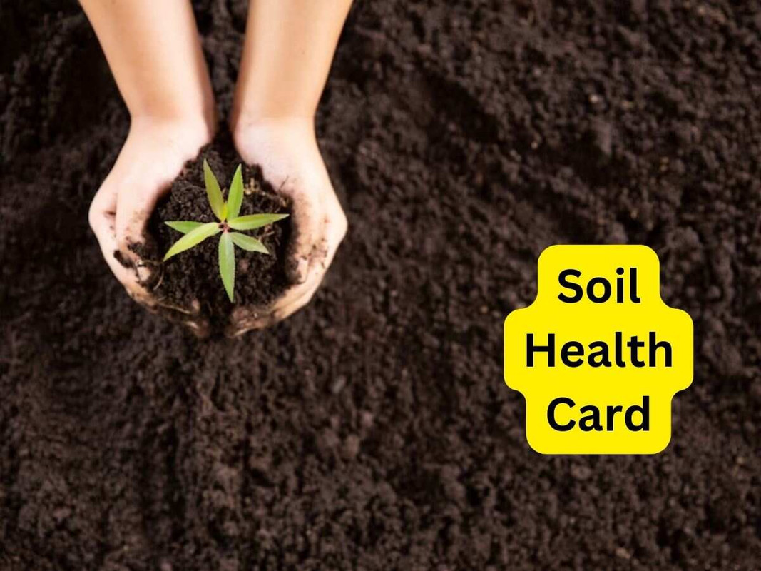 What Is a Soil Health Card
