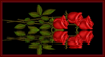 red-roses-133752.gif