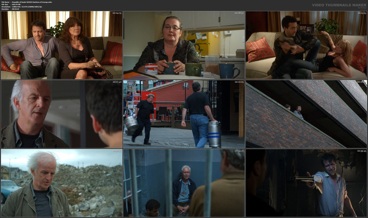 Republic of Doyle S01E03 Duchess of George.mkv