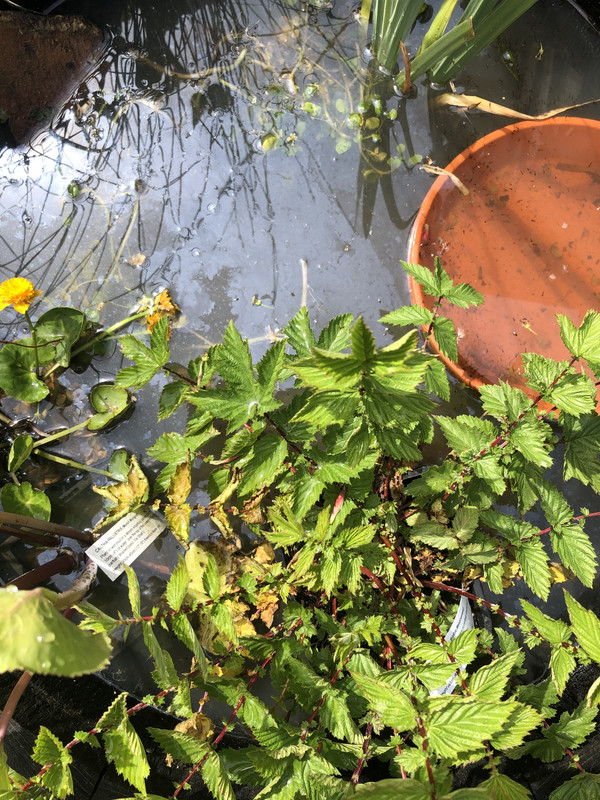 811FBD2C-3669-45F4-98D7-71BE31035E49