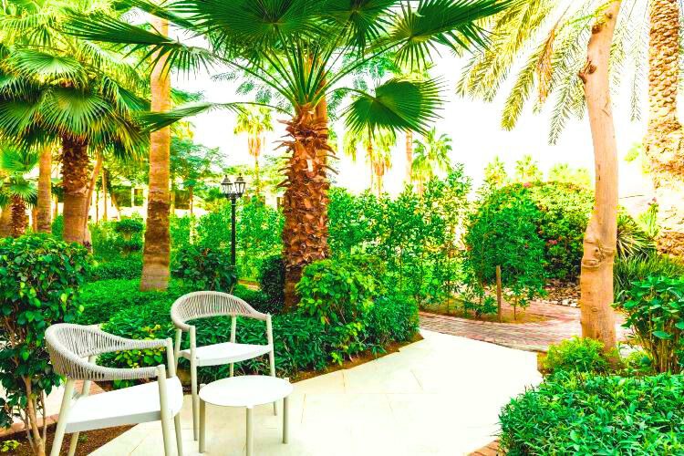 vibrant garden with white chairs surrounding the hotel