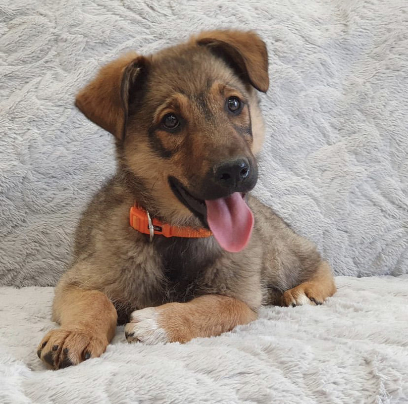 079EE84B-2B52-4576-AFAB-1AE5CA36D580