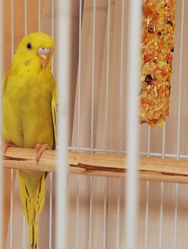 IMG_٢?١٨١٢?٢_١١٢٦٣٥