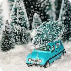 Screenshot 2024-12-24 at 14-19-19 Other Renault 4L