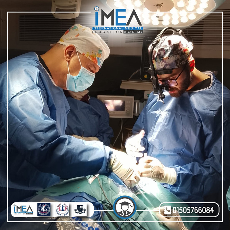 IMEA Gallery 1
