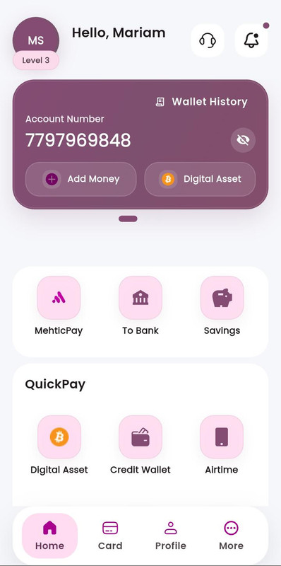 Mehticpay application dashboard preview