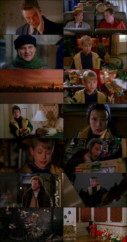Home Alone 2: Lost in New York (1992) 1080p | 720p | 480p BluRay [Hindi (हिन्दी) + English] DD5.1 ESub