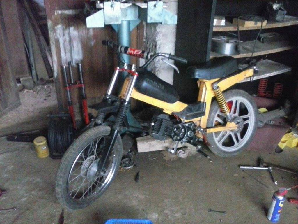 11267340_871701886222216_1166564811_n