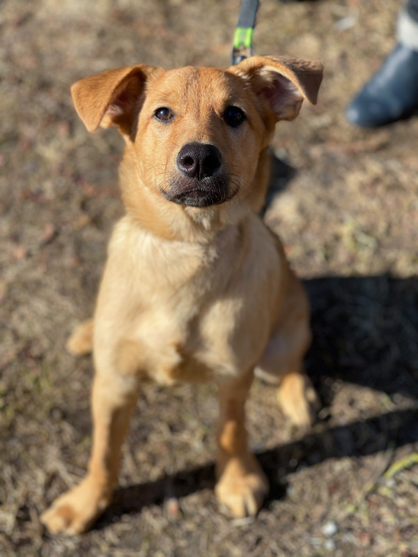 15F3B6D9-A683-4963-9BC2-3A7D0E5F03AA