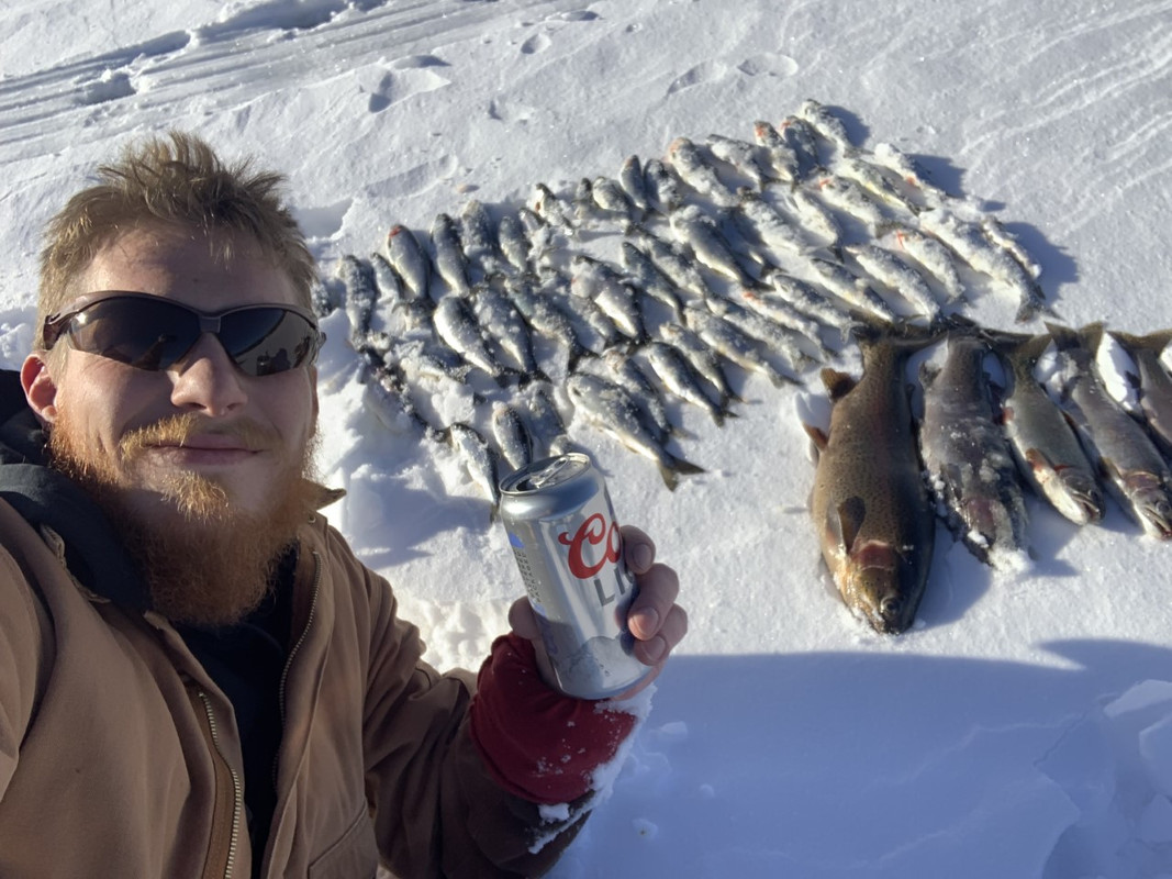 Kokanee