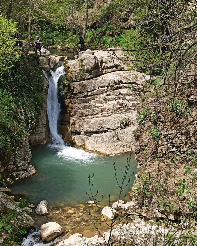 FB_IMG_1651528694662