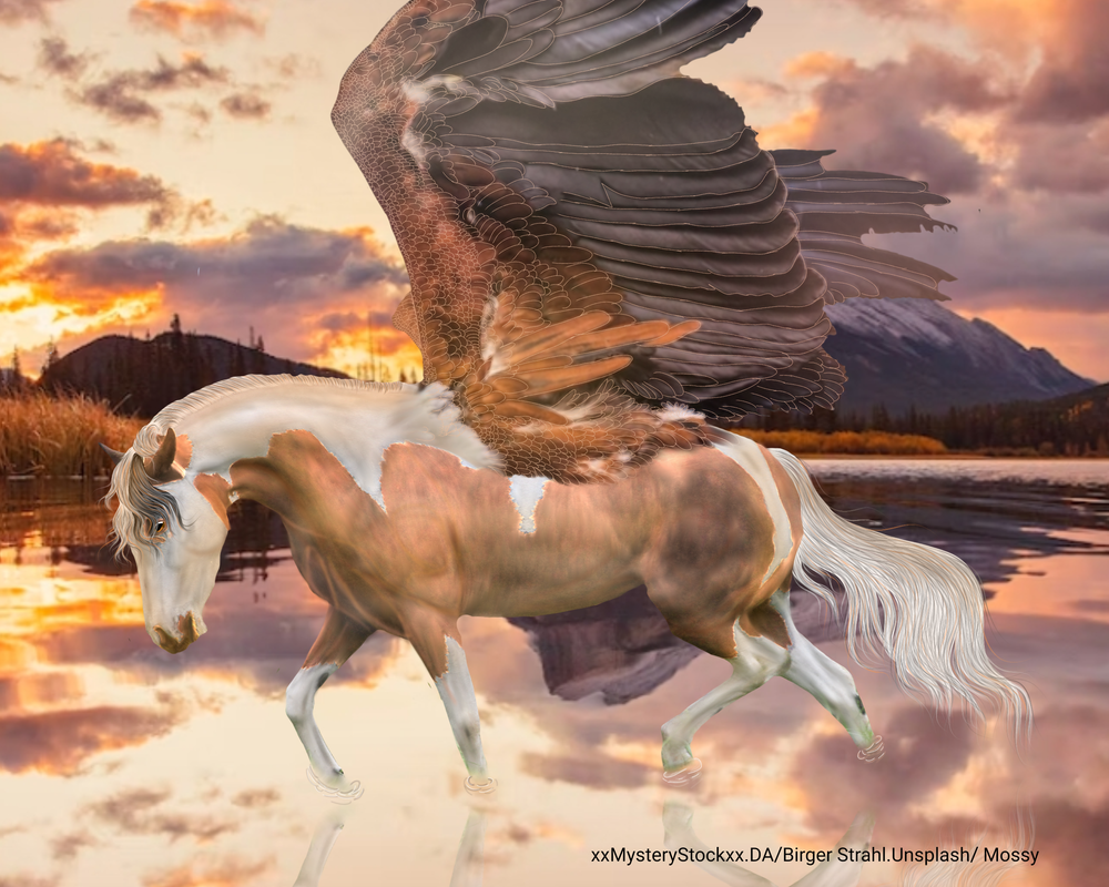 Untitled336_20230202080729.png