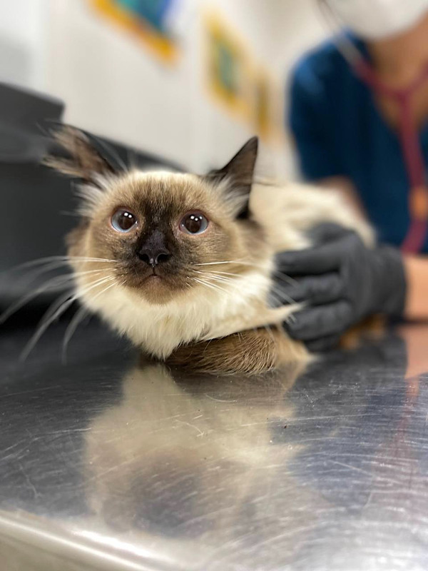 6A1CAED5-D14E-4DB0-8010-1685A8ACB42E