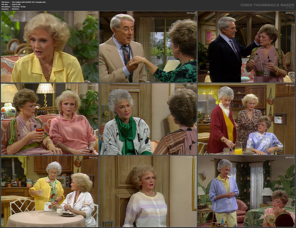 The Golden Girls S01E05 The Triangle.mkv