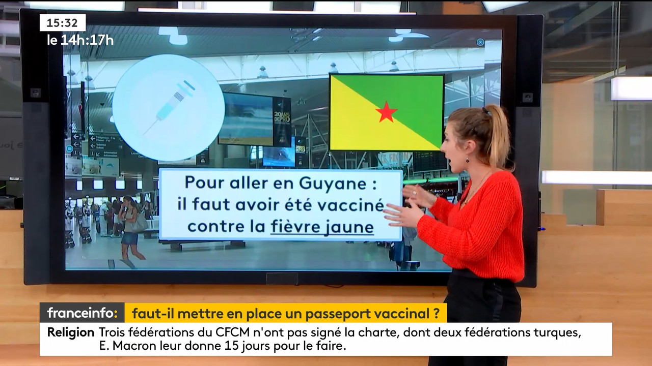01.18 - 12.59.00 - Le 14h-17h. Au sommaire   Vrai ou fake. - francein..._001.ts_snapshot_12.54.691
