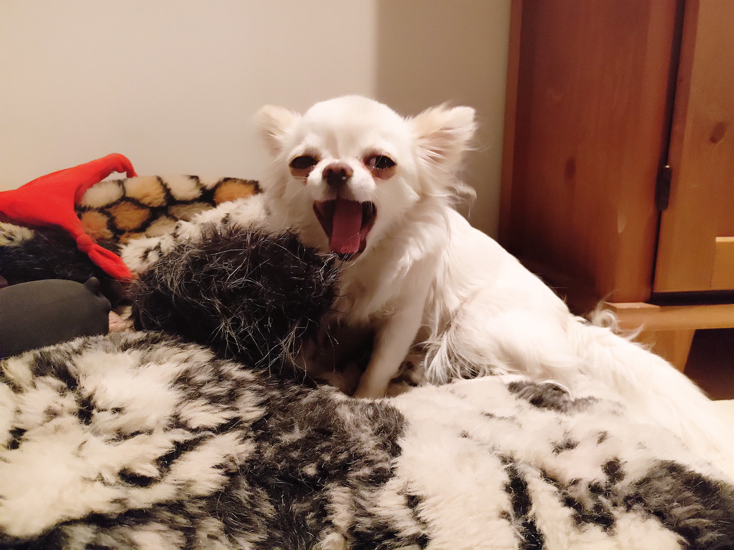 Lumii_20210130_185531789