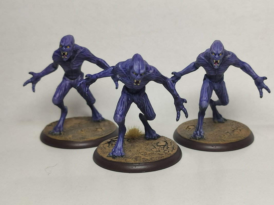 WhatsApp Image 2023-11-01 at 17.48.09(1)