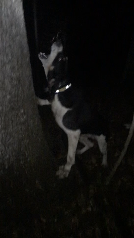 EA39CA0D-3CA6-4584-9E8E-991D3B4FAEB0