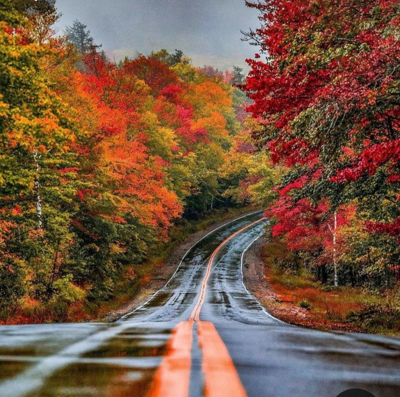 Screenshot_20231115_205422_Pinterest