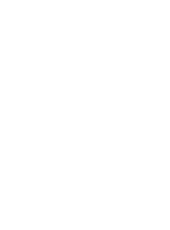 Logo Sinergia Acústico — mandala dourada