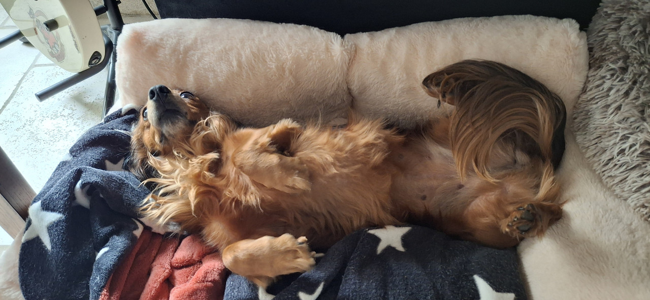 [Image: 20251024-133844.jpg]