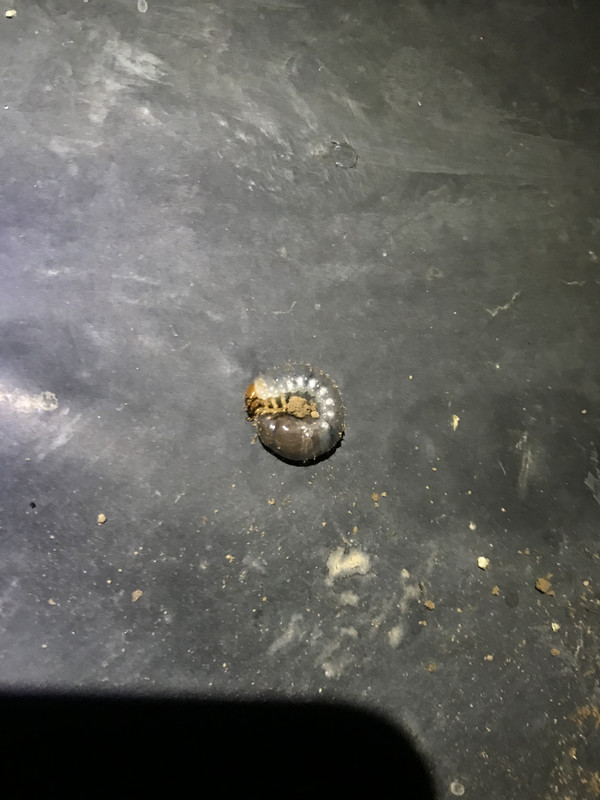 B97C0623-D475-464A-95CA-F4537691879B