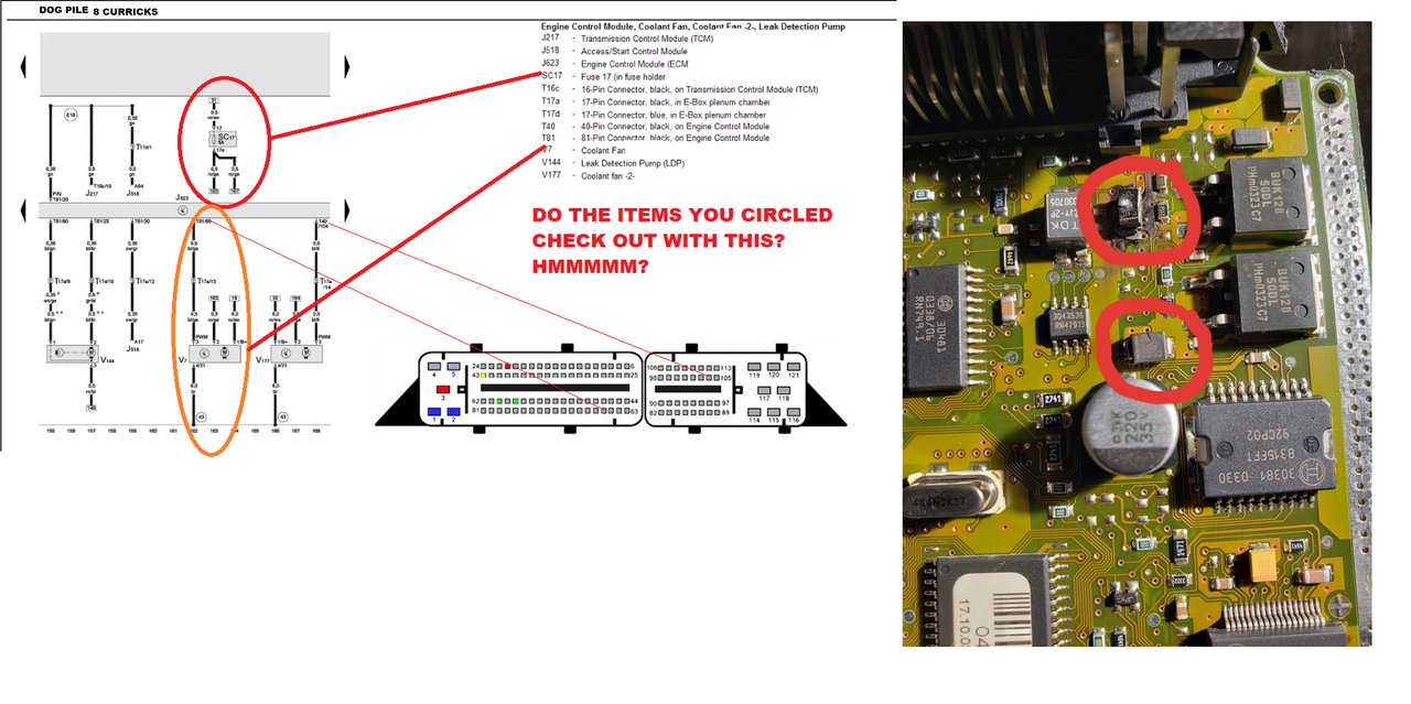 J623-HMMMM-FUSE-17.png