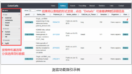 单细胞lncRNA分析-3.png