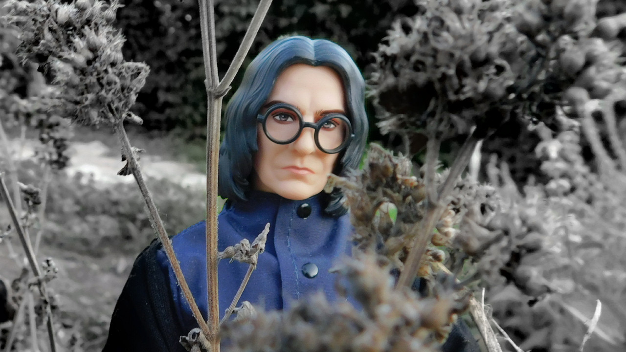 Дачное и  к Хелл сентябрь 2023 280