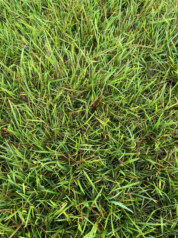 A5B7F66A-B013-49C0-9CFF-EFEEB04AC6BA