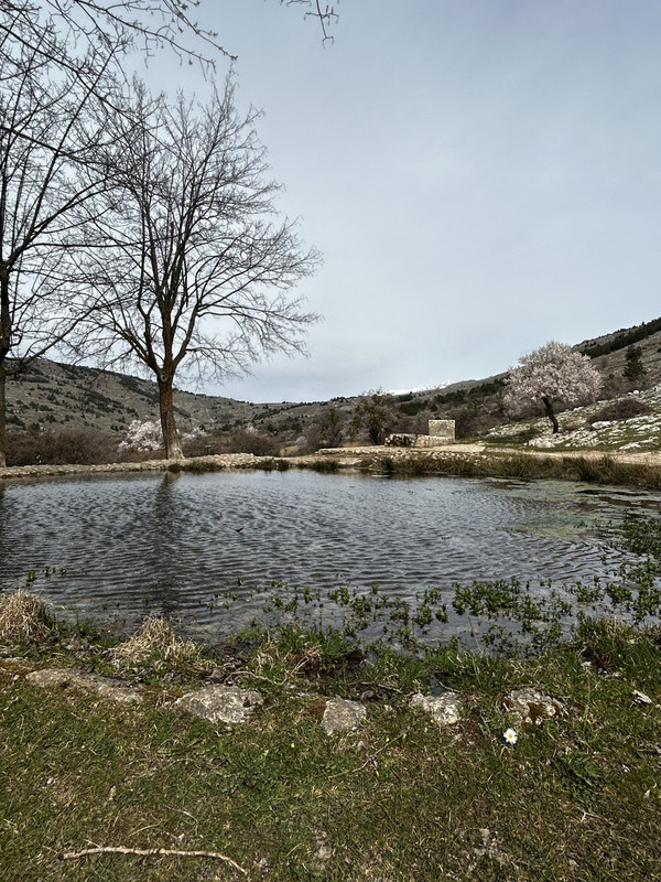 EC8623AE-0680-40FB-9D85-03A85DA43C1C