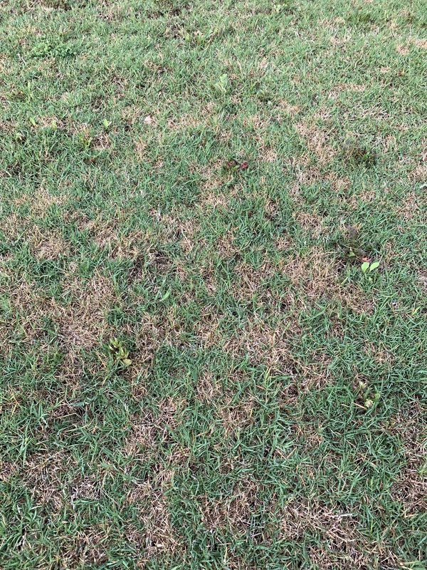 10FE6F4C-15B9-4755-8DC2-F428FBDBF737