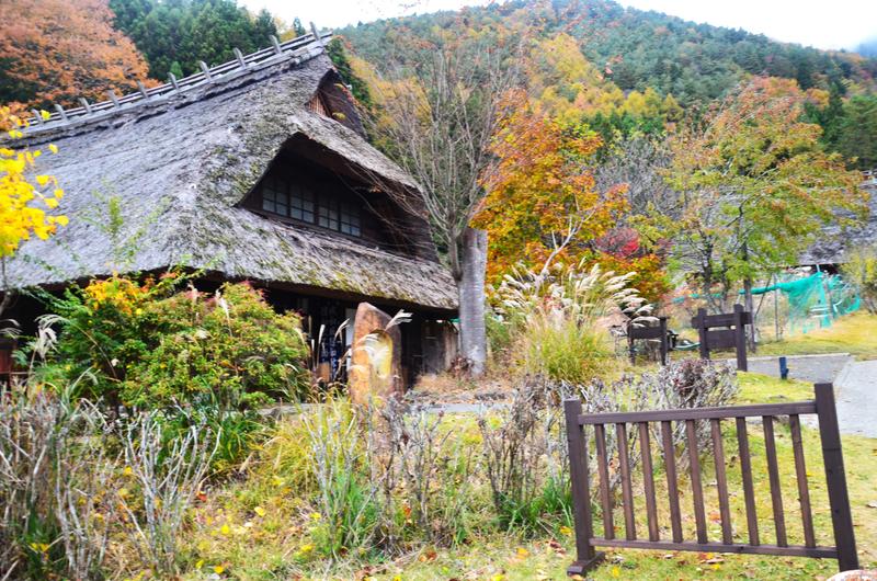 Saiko Iyashi no Sato Nenba-16-11-2024 - Japón y sus Pueblos-2024 (5)