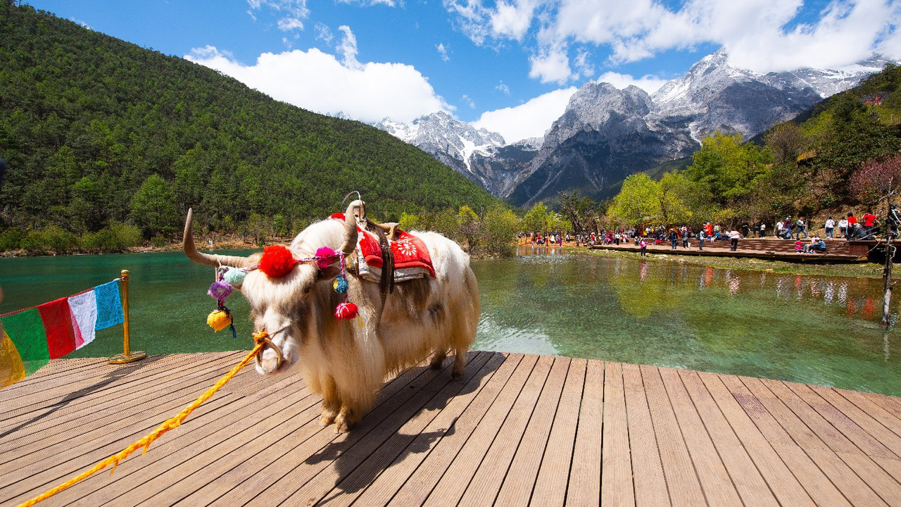 Yunnan 2019 - Blogs de China - Dia 5 - Lijiang y Alrededores (13)